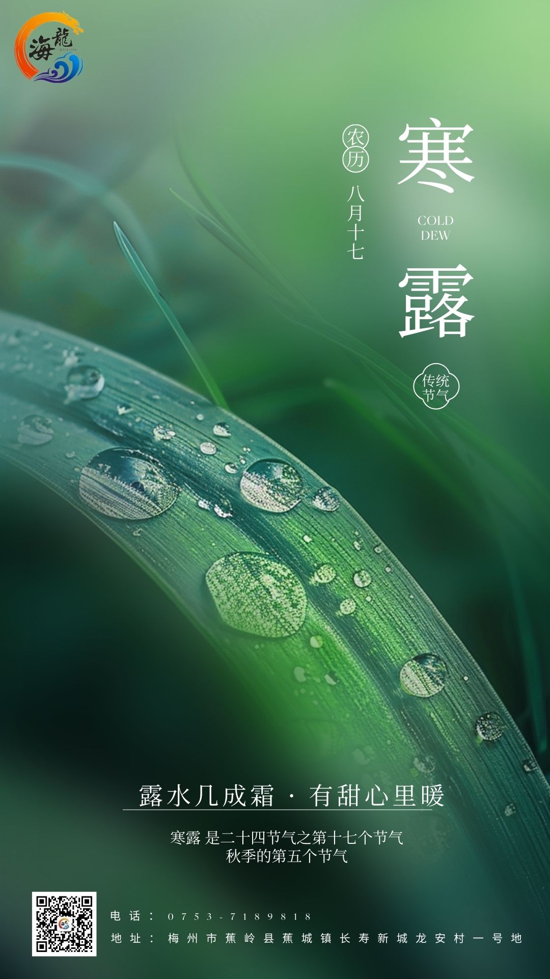 ladbrokes立博-英国公司官网