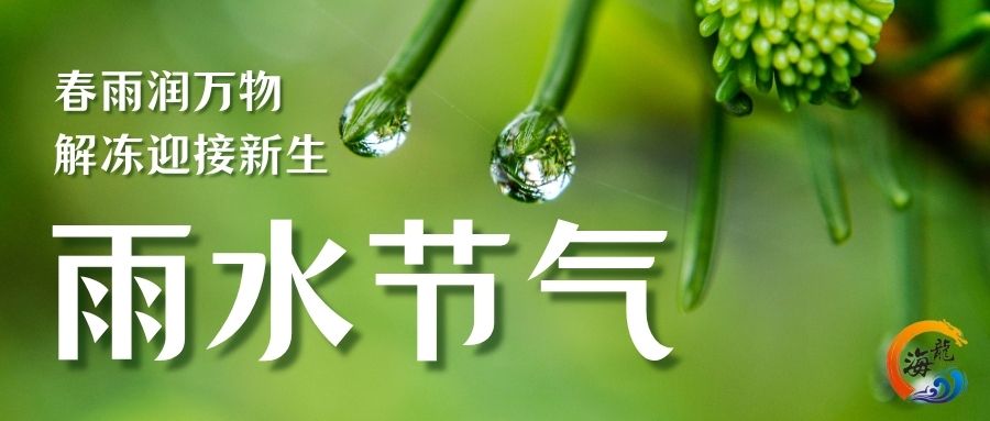今日雨水